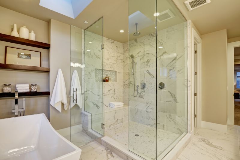 Contemporary Shower Area